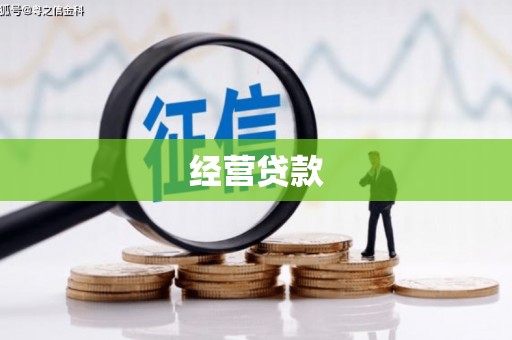 三星经营贷款