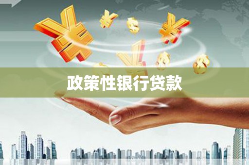 三星政策性银行贷款