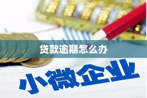 三星贷款逾期怎么办