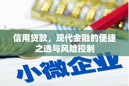 三星信用贷款，现代金融的便捷之选与风险控制