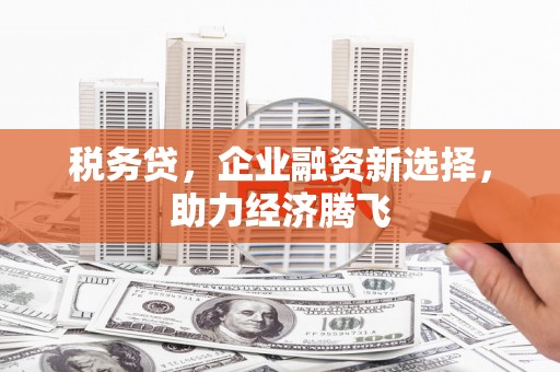 三星税务贷，企业融资新选择，助力经济腾飞