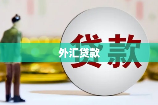三星外汇贷款