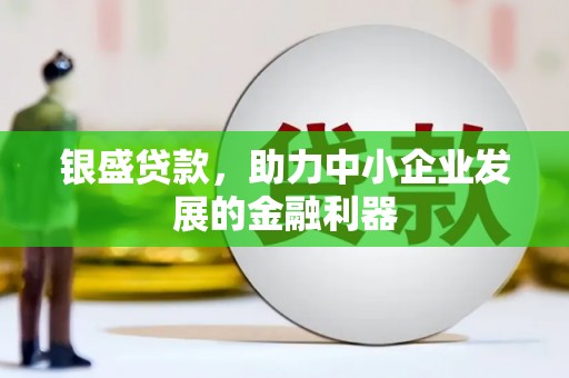 三星银盛贷款，助力中小企业发展的金融利器