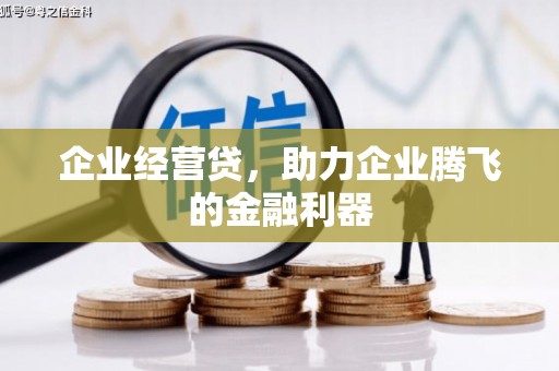 三星企业经营贷，助力企业腾飞的金融利器