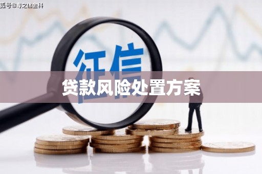 三星贷款风险处置方案
