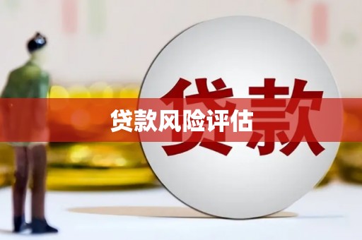 三星贷款风险评估