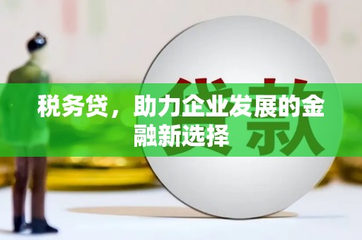 三星税务贷，助力企业发展的金融新选择