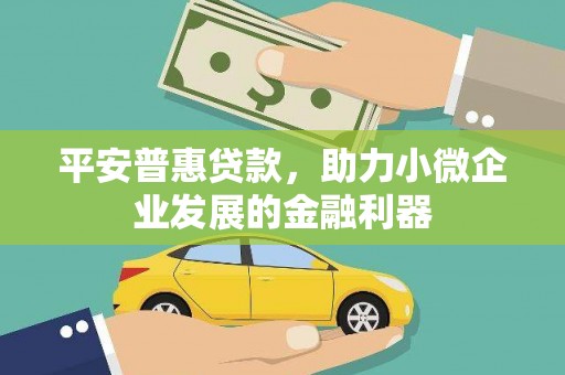 三星平安普惠贷款，助力小微企业发展的金融利器