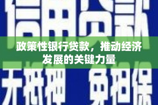三星政策性银行贷款，推动经济发展的关键力量