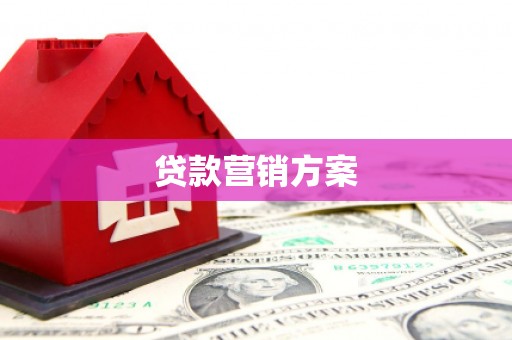 三星贷款营销方案