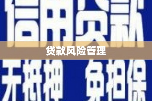 三星贷款风险管理