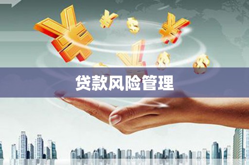 三星贷款风险管理