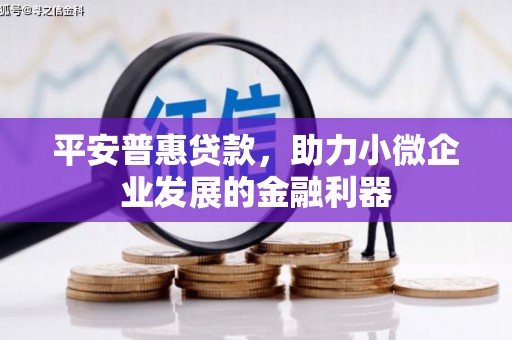 三星平安普惠贷款，助力小微企业发展的金融利器