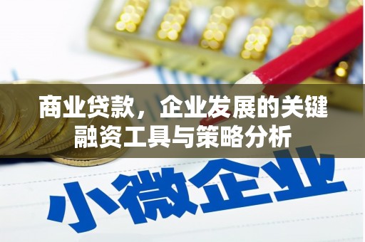三星商业贷款，企业发展的关键融资工具与策略分析