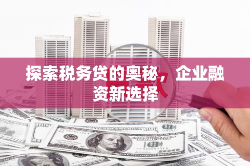 三星探索税务贷的奥秘，企业融资新选择