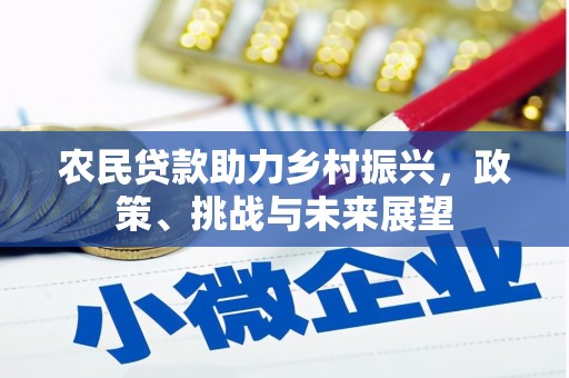 三星农民贷款助力乡村振兴，政策、挑战与未来展望