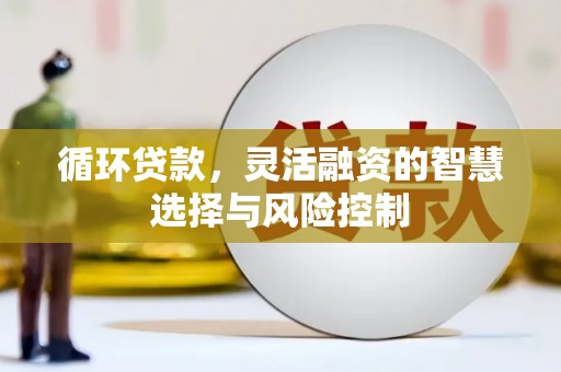 三星循环贷款，灵活融资的智慧选择与风险控制