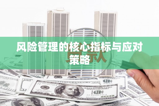 三星风险管理的核心指标与应对策略
