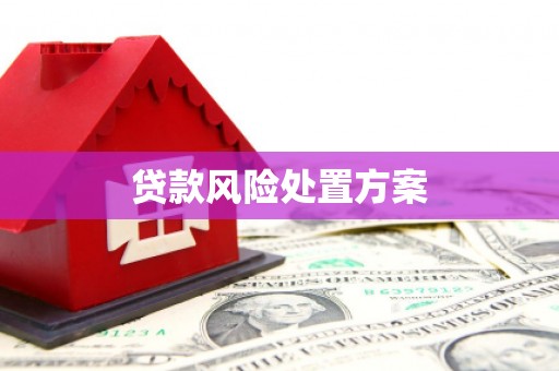 三星贷款风险处置方案