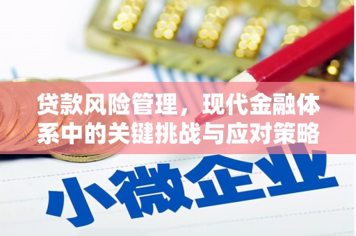 三星贷款风险管理，现代金融体系中的关键挑战与应对策略