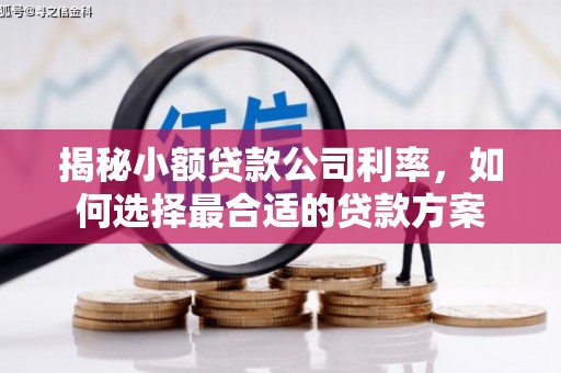 三星揭秘小额贷款公司利率，如何选择最合适的贷款方案