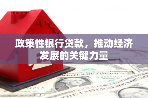 三星政策性银行贷款，推动经济发展的关键力量