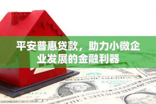 三星平安普惠贷款，助力小微企业发展的金融利器