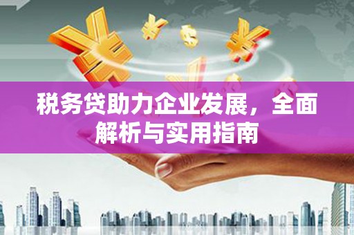 三星税务贷助力企业发展，全面解析与实用指南