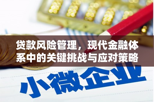 三星贷款风险管理，现代金融体系中的关键挑战与应对策略
