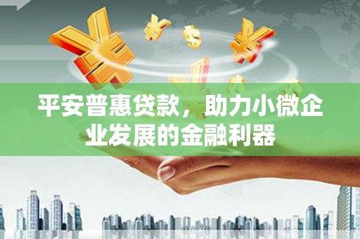 三星平安普惠贷款，助力小微企业发展的金融利器