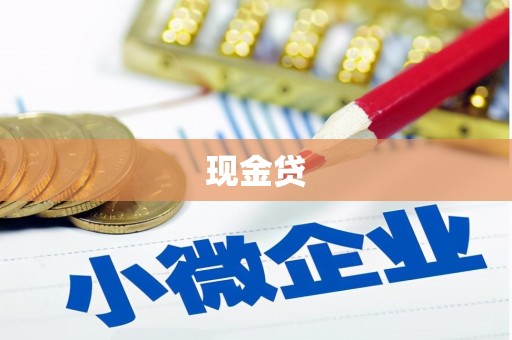 三星现金贷
